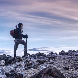 Agence Gestion des Réseaux Sociaux au Maroc – Rank Up