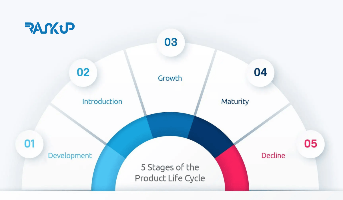 Quelles sont les phases du cycle de vie d’un produit ?
