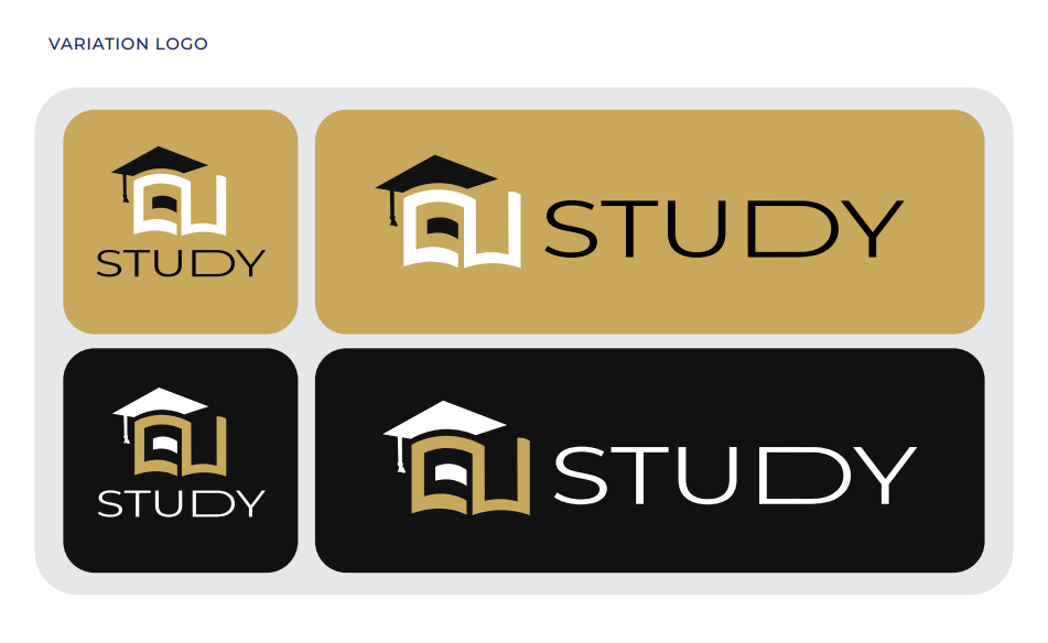 Logo Variation For Eu Study Consulting